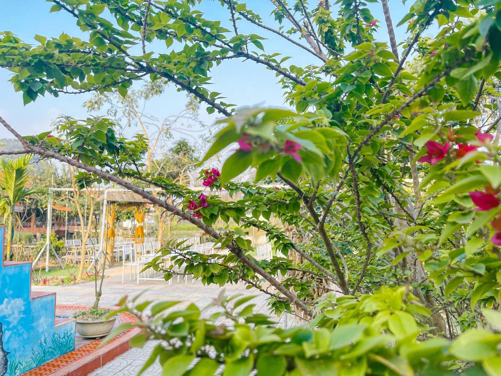 Trang An Quynh Trang Happy Homestay & Garden Ninh Bình Kültér fotó