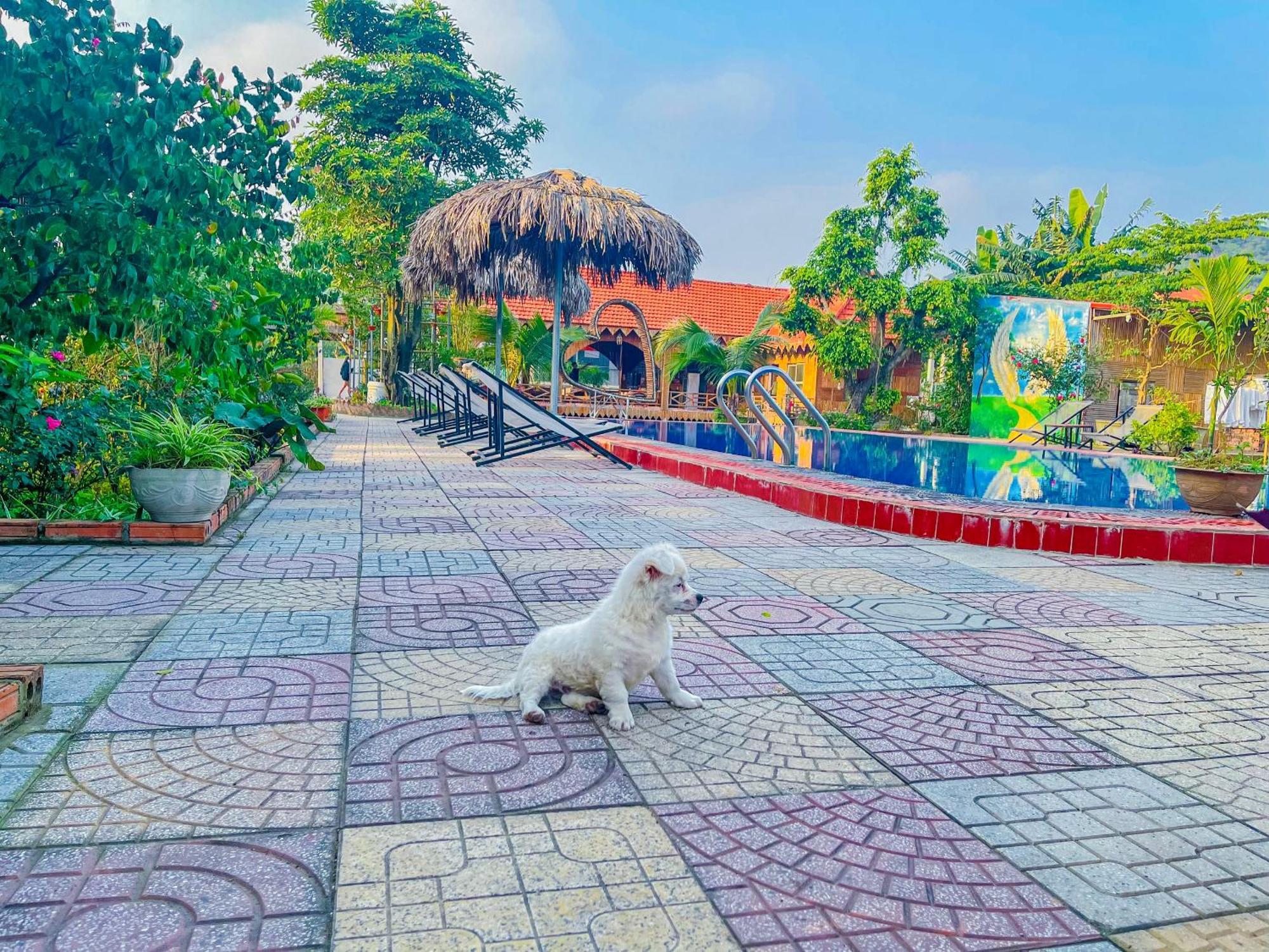 Trang An Quynh Trang Happy Homestay & Garden Ninh Bình Kültér fotó