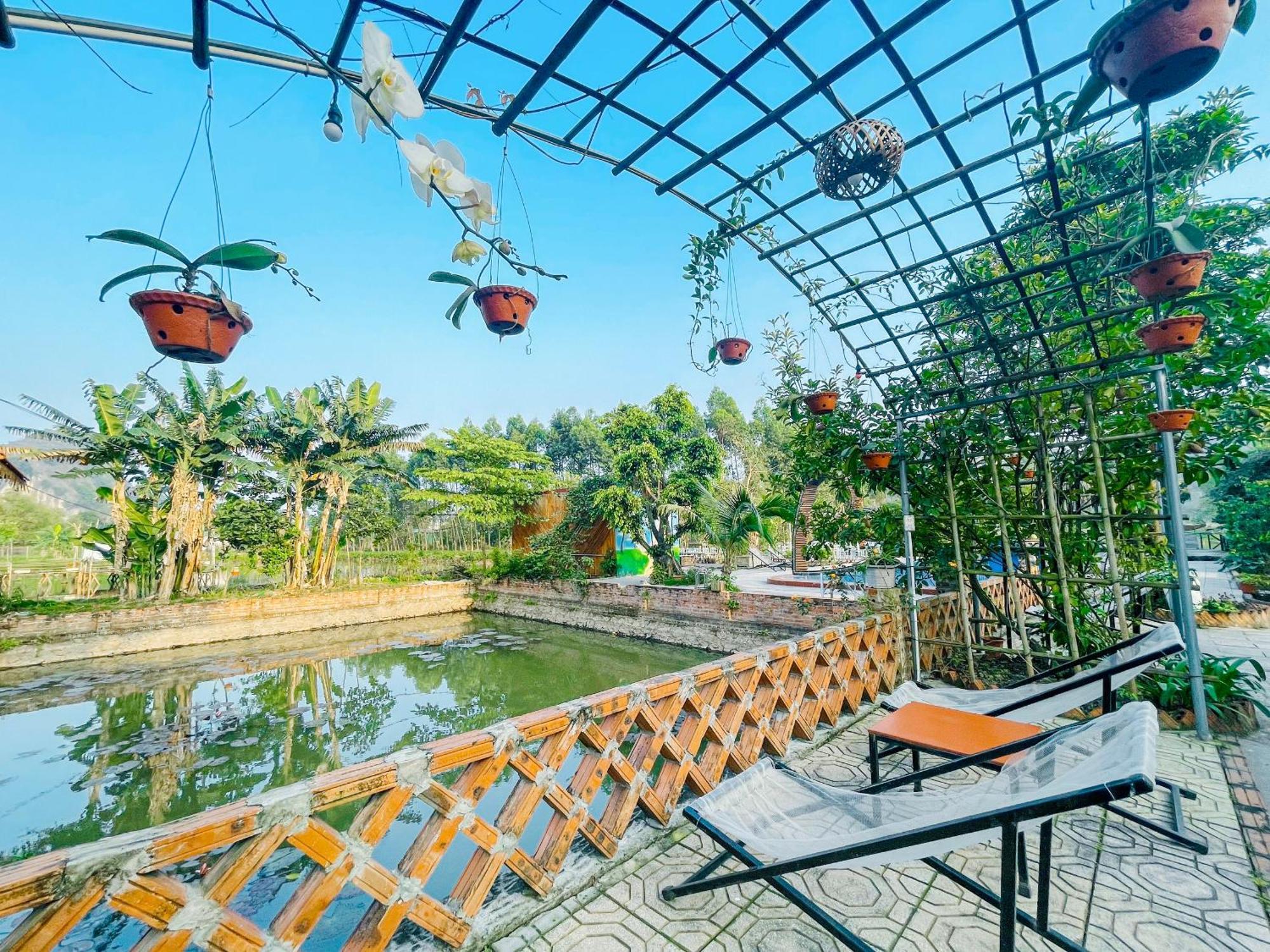 Trang An Quynh Trang Happy Homestay & Garden Ninh Bình Kültér fotó